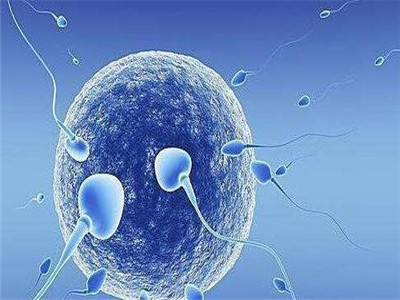 代生生男孩代怀中介